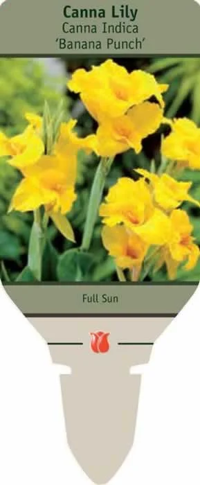 countrymax-3429123