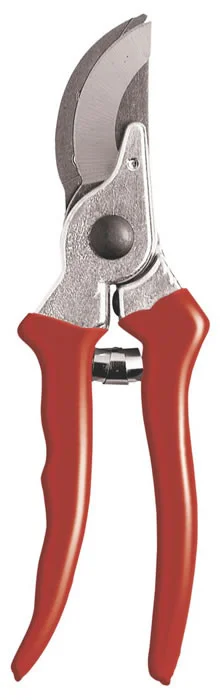 countrymax-3430141