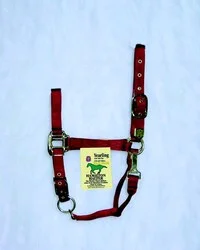 countrymax-3441758