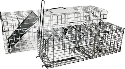 countrymax-3449499