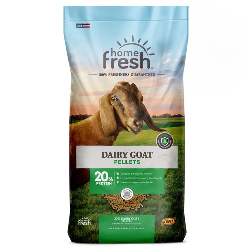 countrymax-3454425