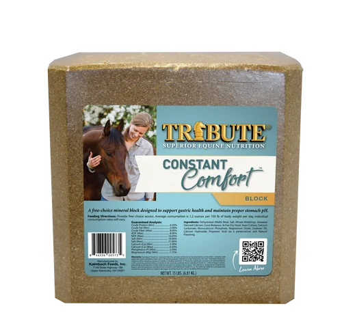countrymax-3458295