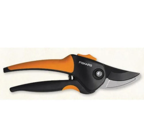 countrymax-3461299