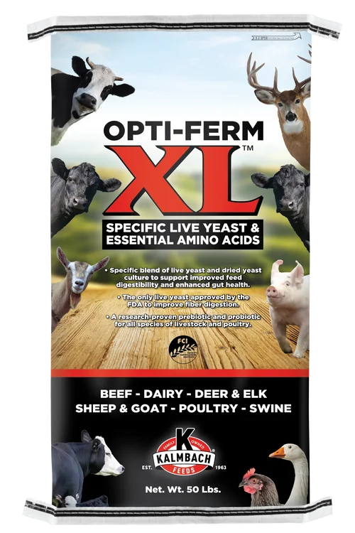 countrymax-3463849