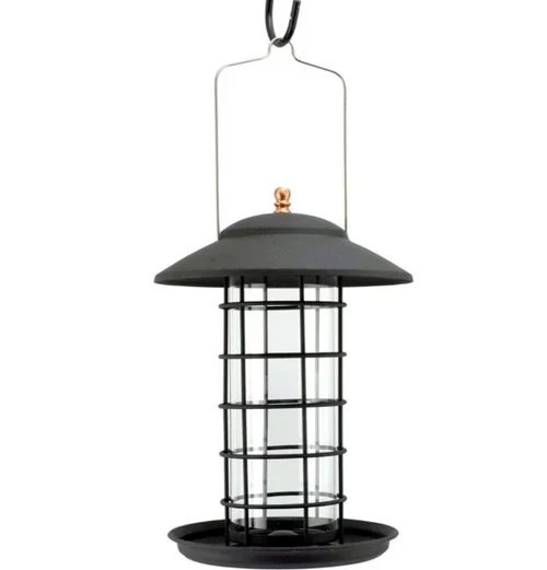 countrymax-3468627