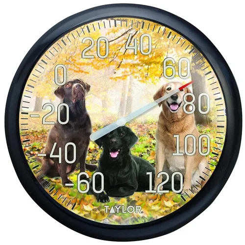 countrymax-3468642