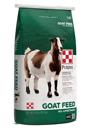 countrymax-3469876