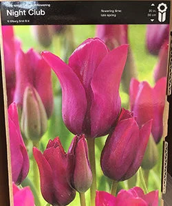 esbenshades-3457264