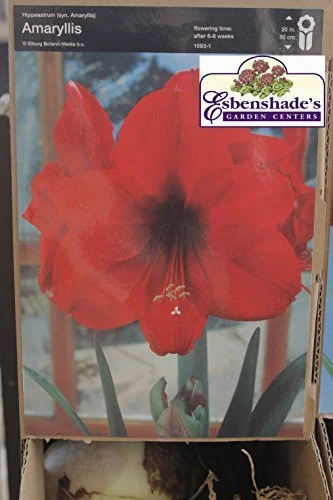esbenshades-3459853