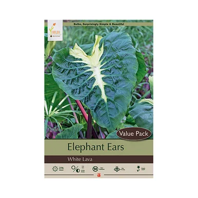 esbenshades-3464883