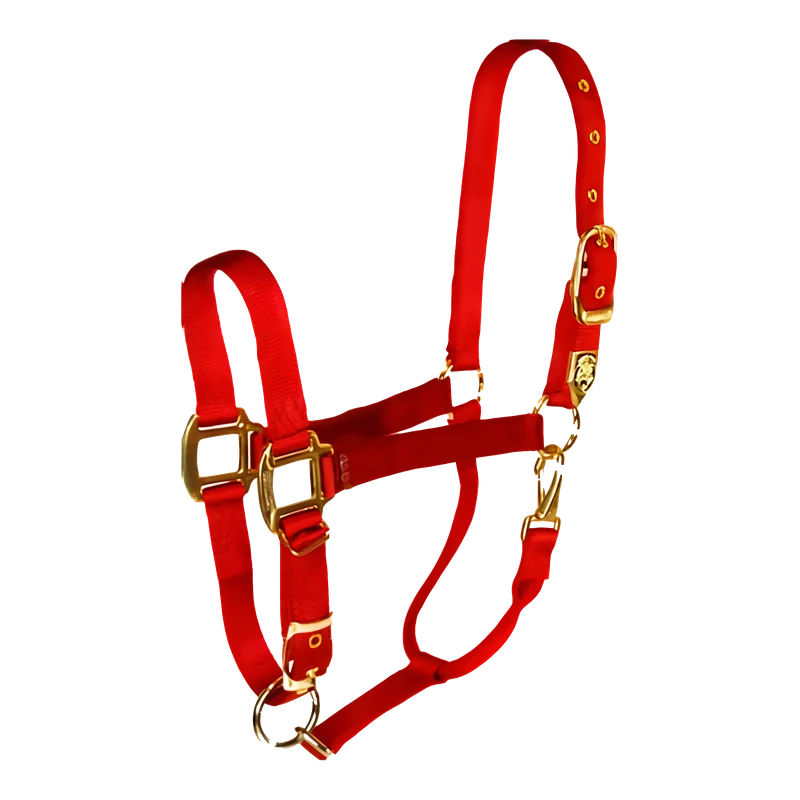 garoppos3394751