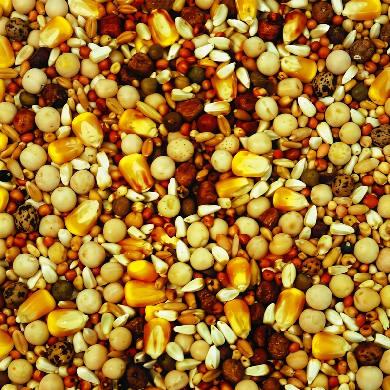 garoppos3410086