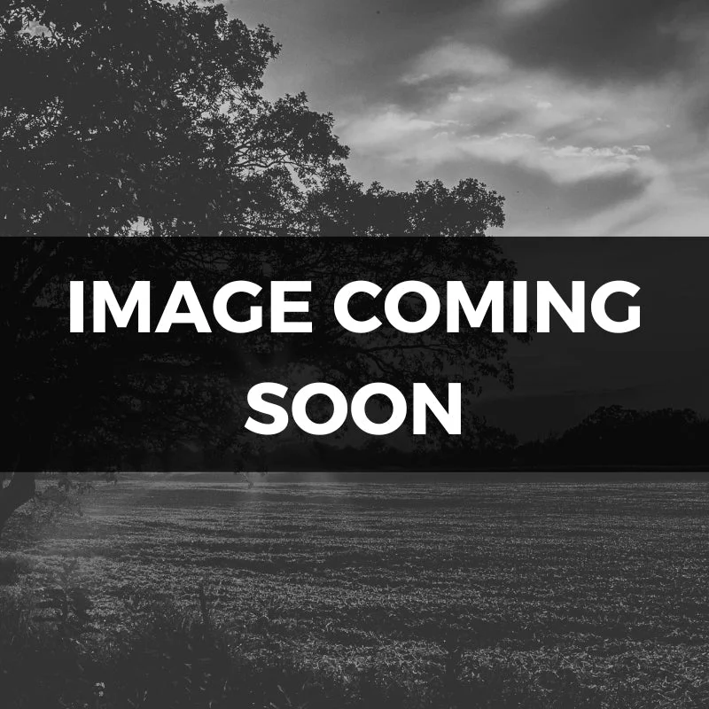 northgeorgiahomestead3356912