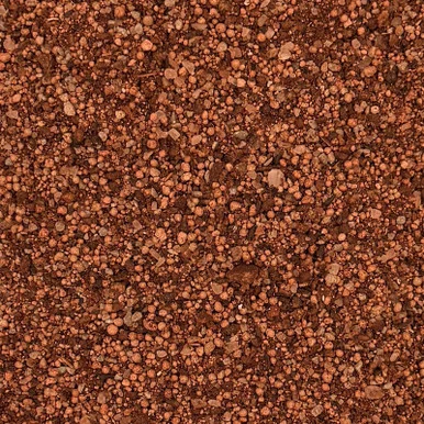 palmerfeed-3421416