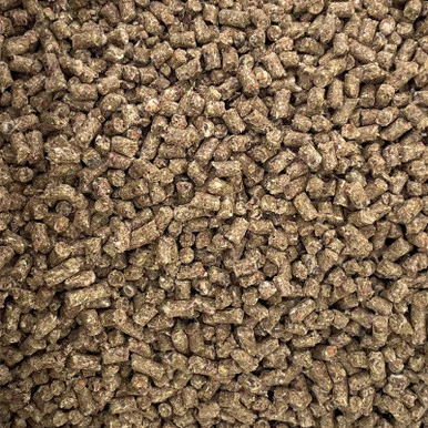 palmerfeed-3421523
