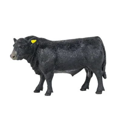 palmerfeed-3422091