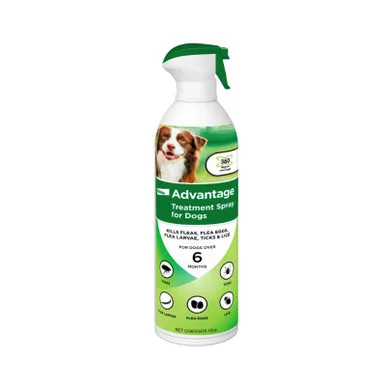 palmerfeed-3422210