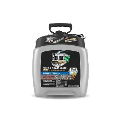 palmerfeed-3423069