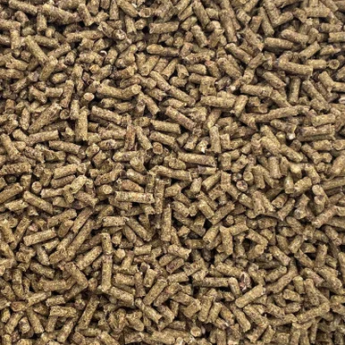 palmerfeed-3423299