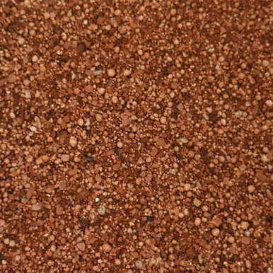 palmerfeed-3423799