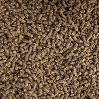 palmerfeed-3424518