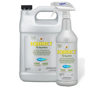 palmerfeed-3424745