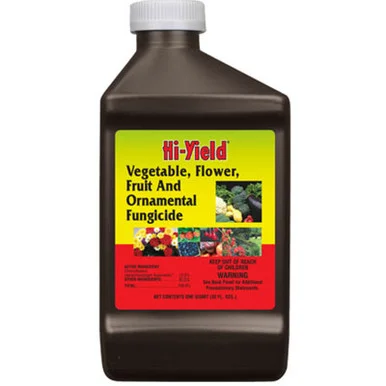 palmerfeed-3424951