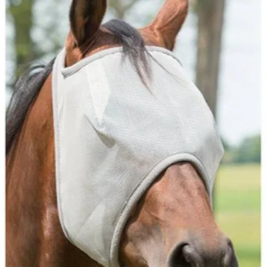palmerfeed-3424956