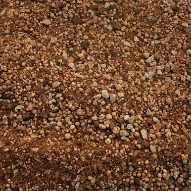 palmerfeed-3425064