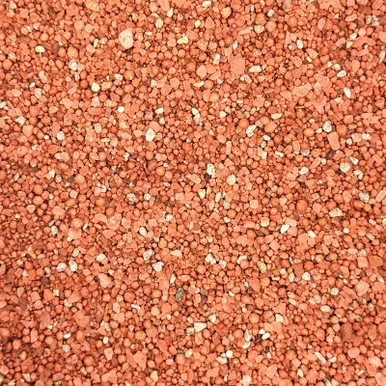 palmerfeed-3425079