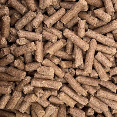 palmerfeed-3426092