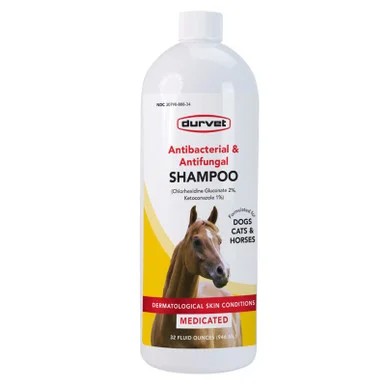 palmerfeed-3426256