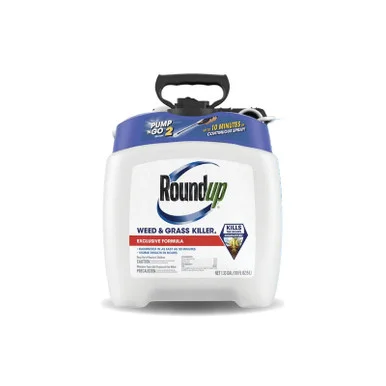 palmerfeed-3426367