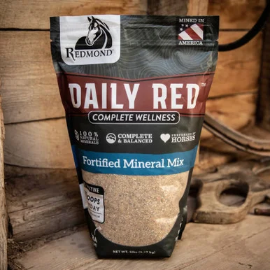 palmerfeed-3426660