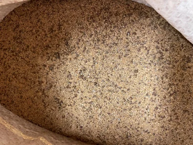 palmerfeed-3426748