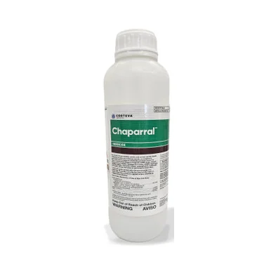 palmerfeed-3426817