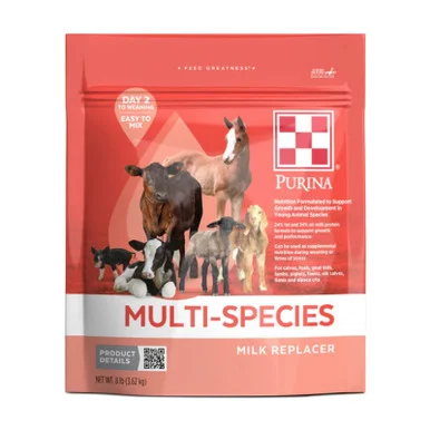 palmerfeed-3427113