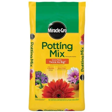 palmerfeed-3427278