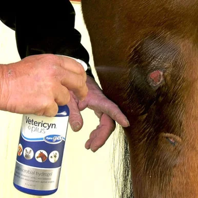 palmerfeed-3428102
