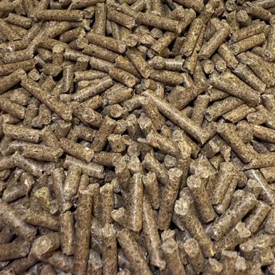 palmerfeed-3428257