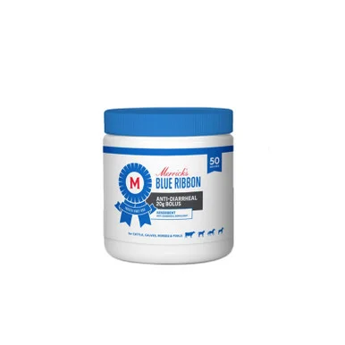 palmerfeed-3428713