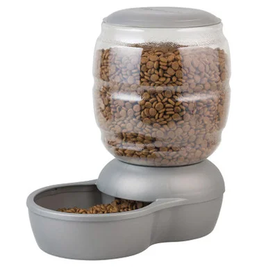 palmerfeed-3429122