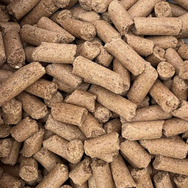palmerfeed-3429165