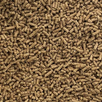 palmerfeed-3429438