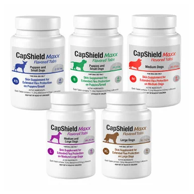 palmerfeed-3429523