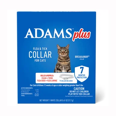 palmerfeed-3429685