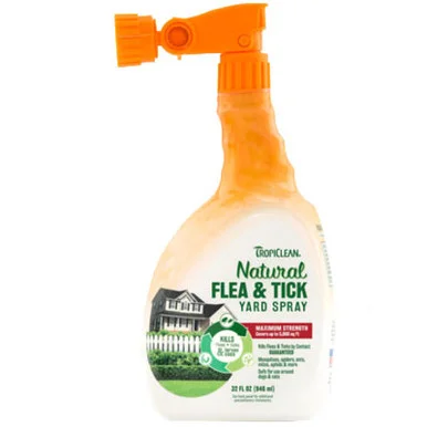 palmerfeed-3429728