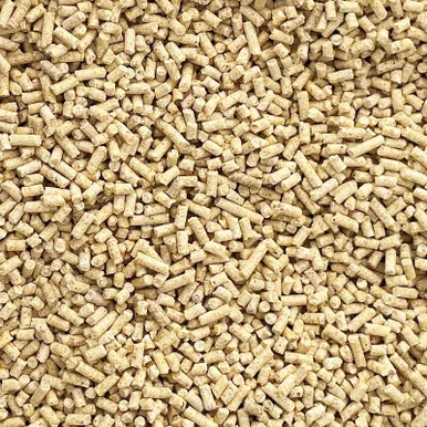 palmerfeed-3430245