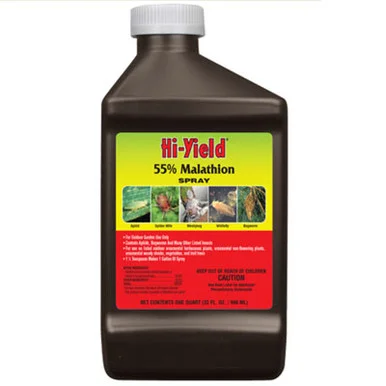 palmerfeed-3430343
