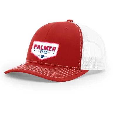 palmerfeed-3430553